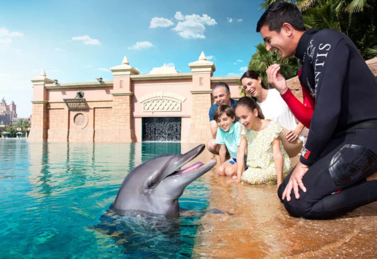 A family meets a dolphin from the edge of the lagoon