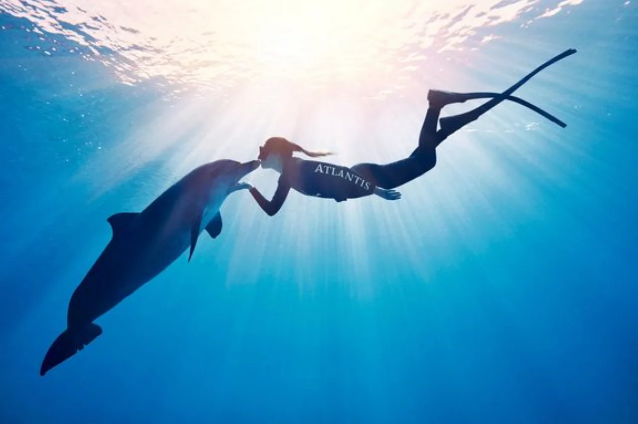 An Atlantis specialist and a dolphin underwater